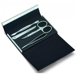 Giorgio Magnetisches Nageletui