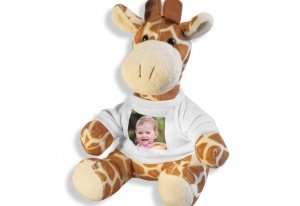 Giraffe -Jack-