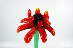 Glasblume rot 50cm