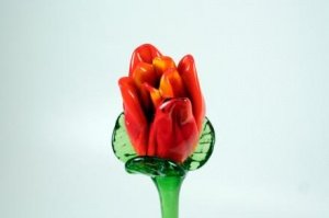 Glasblume rot 50cm
