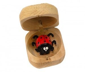 Glückskäfer Wackelkäfer