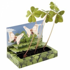 Glücksklee-Garten Geldgeschenk