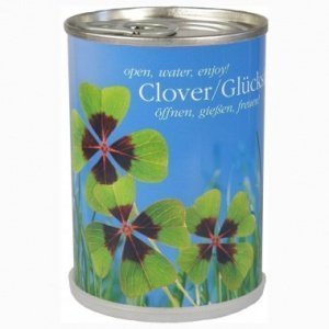 Glücksklee aus der Dose