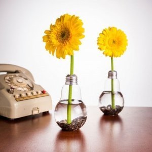 Glühbirnen Vase 6er Set