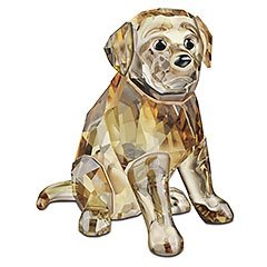 Golden Retriever sitzend