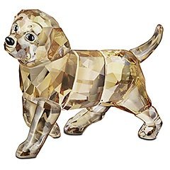 Golden, Retriever stehend