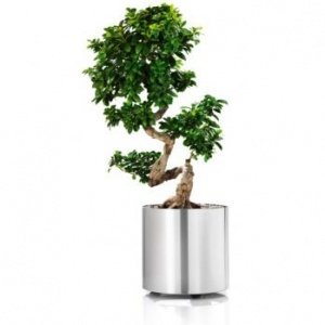 GREENS ROUND 65105 Blumentopf auf Rollen