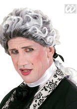 Graf Barock-Perücke silber-schwarz