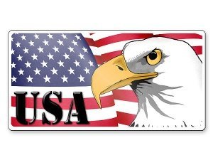 Grafikschild - Adler mit US Flagge und I