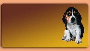 Grafikschild - Beagle - mit individuelle