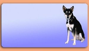 Grafikschild - Husky - mit individuellem