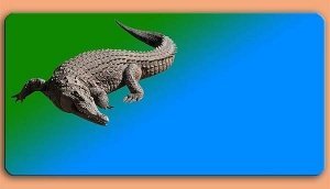 Grafikschild - Krokodil - mit individuel