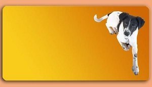 Grafikschild - Mischling - mit individue