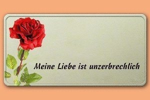 Grafikschild - Rose:Meine Liebe ist unze