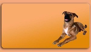 Grafikschild - Schäferhund Mischling - m