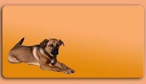 Grafikschild - Schäferhund Mischling - m