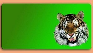 Grafikschild - Tiger - mit individuellem