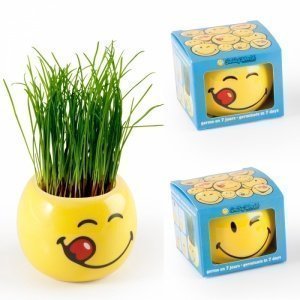 Graskopf mit Smiley Gesicht