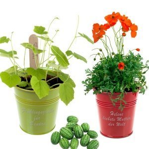 Gravur-Zinkeimer mit Saatgut