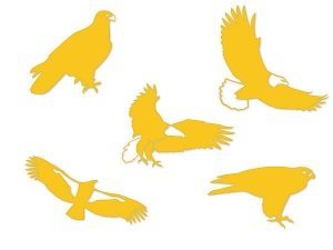 Greifvögel - Silhouetten im Set: mittel