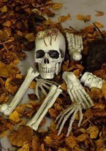 Halloween Horror Sack mit Gebeinen und K