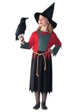 Halloween Kinder Hexe Kostüm