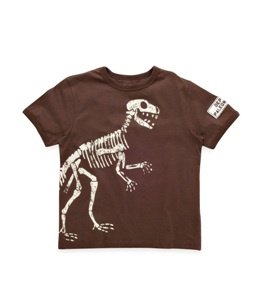 Hatley Jungs Kurzarm T-Shirt Dinosaurier