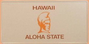 Hawaii Autoschild mit individuellem Wuns