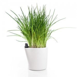 HERB 2.0  POT selbstwässernder Pflanztop