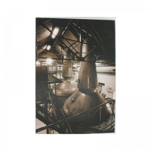 Heinz Fesl Postkarten Stillhouse 1 St.