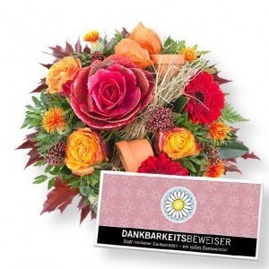 Herbstleuchten und Dankbarkeitsbeweiser