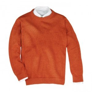 Herren-Rundhalspullover terra