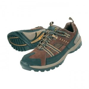 Herren-Trekkingschuh Outbound Lo