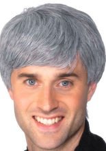 Herrenperücke Deluxe grau