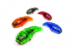Hexbug Larva