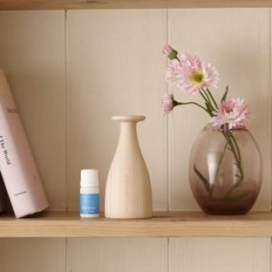 Holz-Diffuser Hinoco Plus water