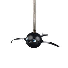 Hoptimist - Baby Birdie, schwarz (mittel