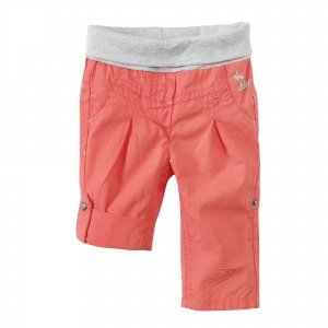 Hose3424 living coral