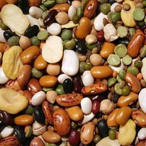 Hülsenfrüchtemischung für Suppe mediterr