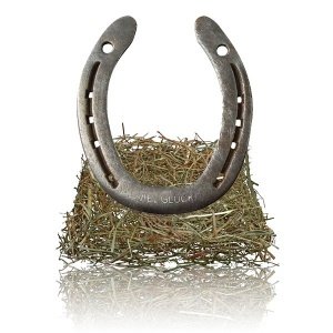 Hufeisen Viel Glück, natur