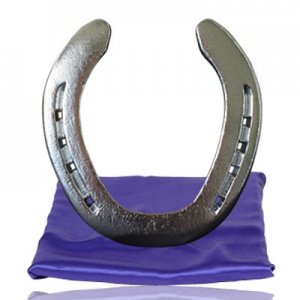 Hufeisen mit Gravur verchrohmt