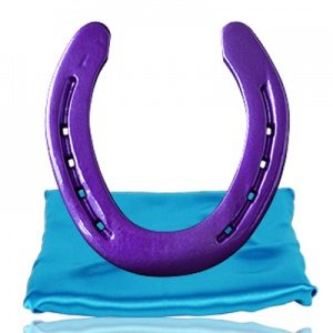 Hufeisen mit Gravur violett