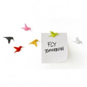 Hummingbird Message Kolibri Magnete QL10