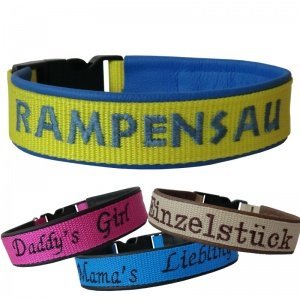 Hunde-Halsband *Statement*