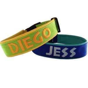 Hunde-Halsband mit Wunschname