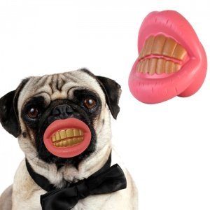 Hunde-Kauknochen *Pimp your Dog*