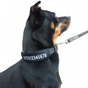 Hunde-Klettgurt mit Bestickung *My dog*