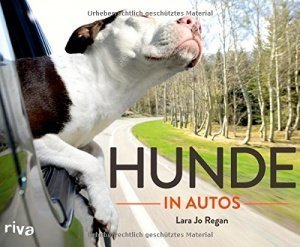 Hunde in Autos