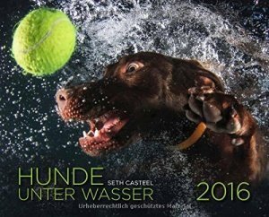 Hunde unter Wasser Wandkalender