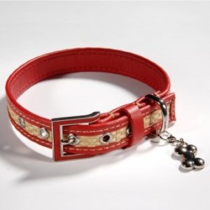 Hundehalsband Summer